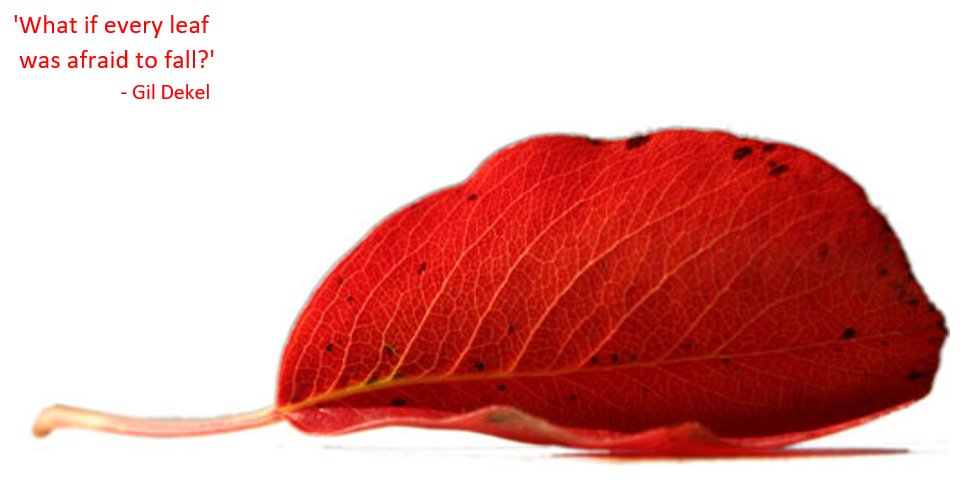 Dr. Gil Dekel (@streamingk) on Twitter photo 