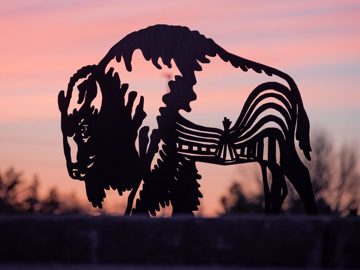 Canadian Relocation tweet media