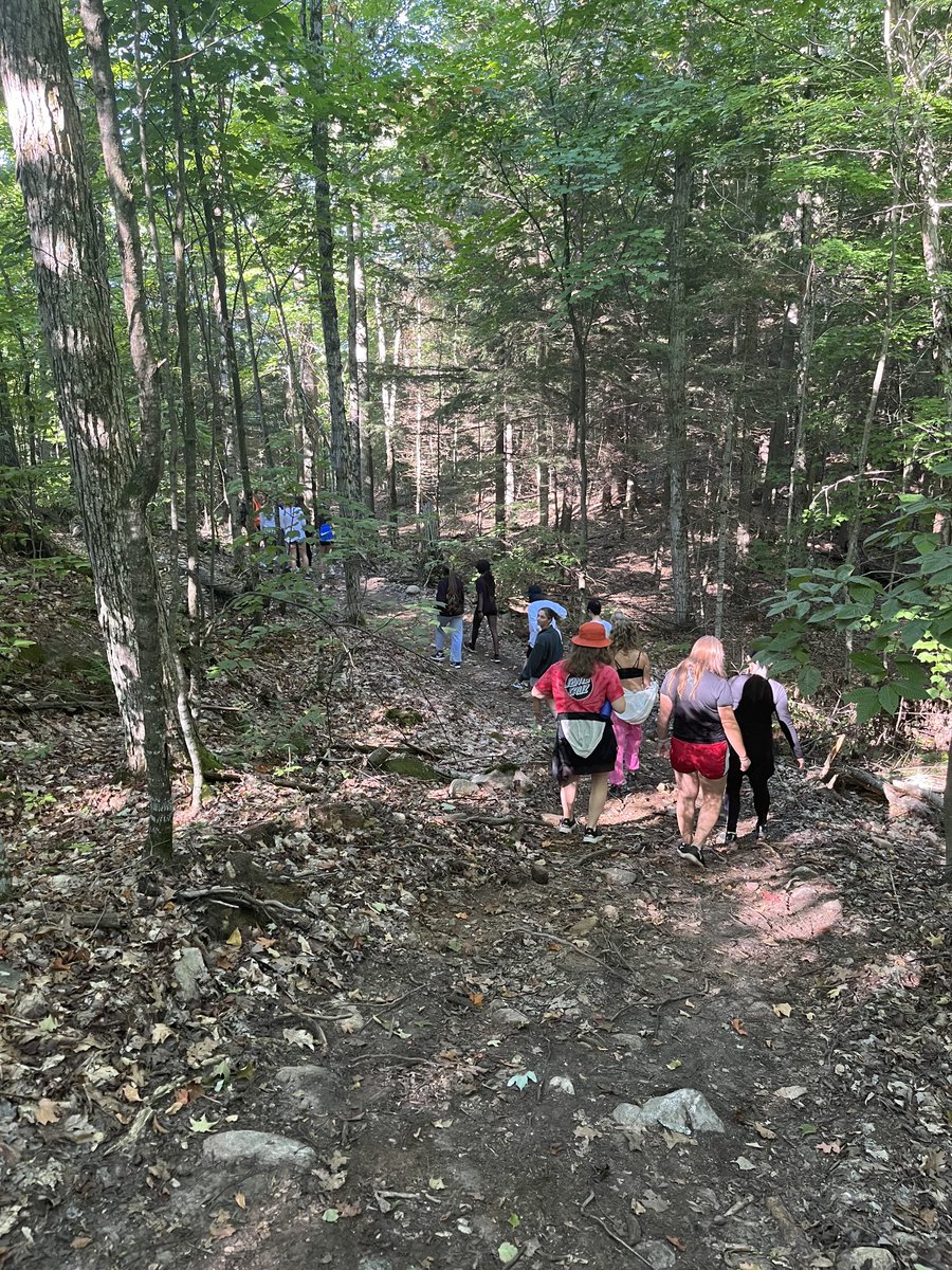 Sarah Whitty tweet media