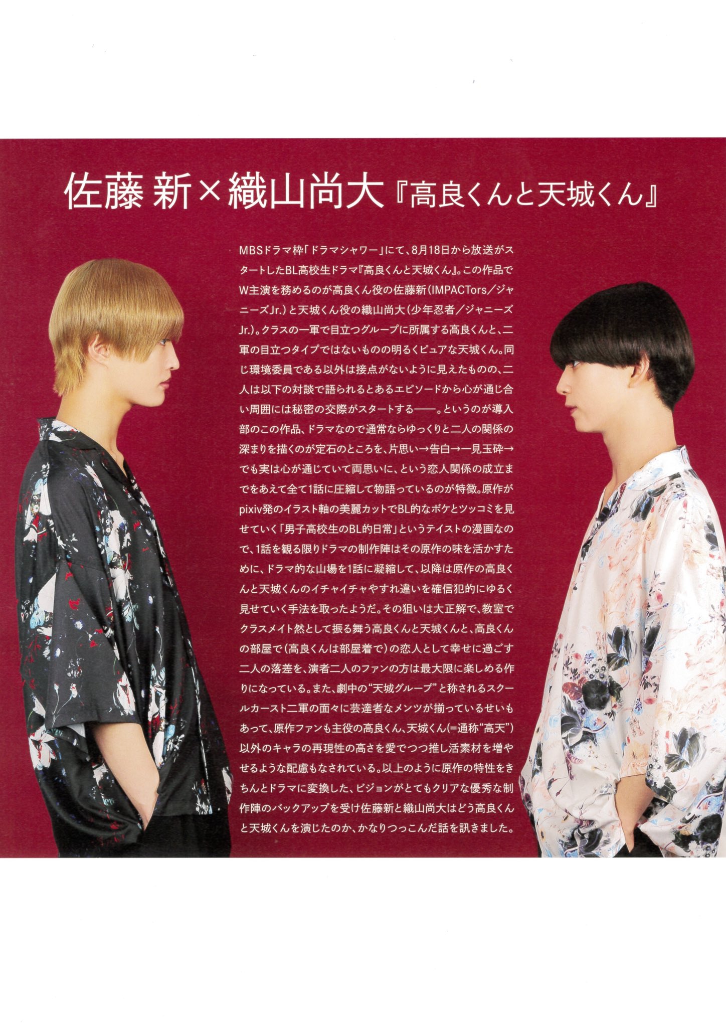 N*♡様 忍コレ 織山尚大 片面コンプリート 織山尚大 忍コレクションカード 忍コレ 少年忍者｜Yahoo!フリマ
