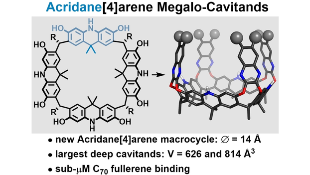 Megalo-Cavitands: Synthesis of Acridane[4]arenes and Formation of Large, Deep Cavitands for Selective C70 Uptake by <a href="/TiefenbacherLab/">TiefenbacherLab</a> #openaccess onlinelibrary.wiley.com/doi/10.1002/an…