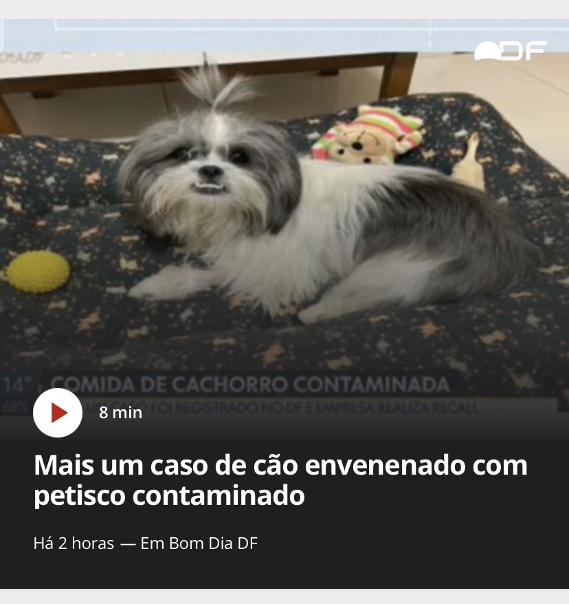 Giolira's tweet photo. Fiquem ligados e pensem no que aconteceu com seus pets recentemente… a minha passou bem mal e usava o Cuidado Oral da  @PetzOficial https://t.co/vWsEXGfwLR