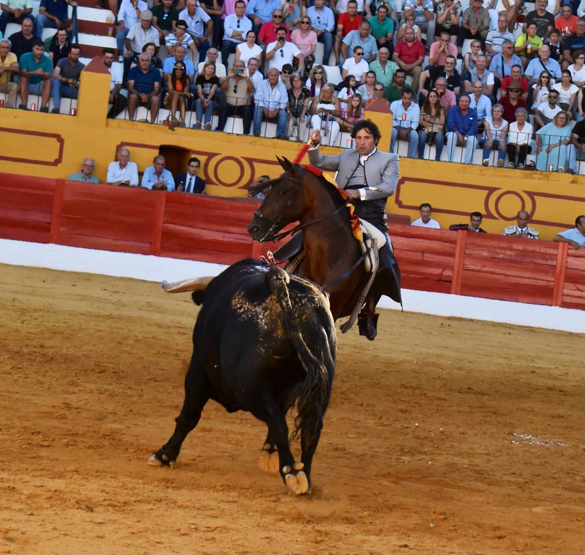 AndresRomeroWeb's tweet photo. 🔴 BARCARROTA || Salió con pies y apretando el toro de @condecorte, al que paró con #Copito. Luego, en banderillas, expuso mucho @Romero1Andres con #Meridio toreando de costado la encendida embestida y clavando después de poder de poder con verdad y emoción
#siempreRomero https://t.co/kLj6ANTanW