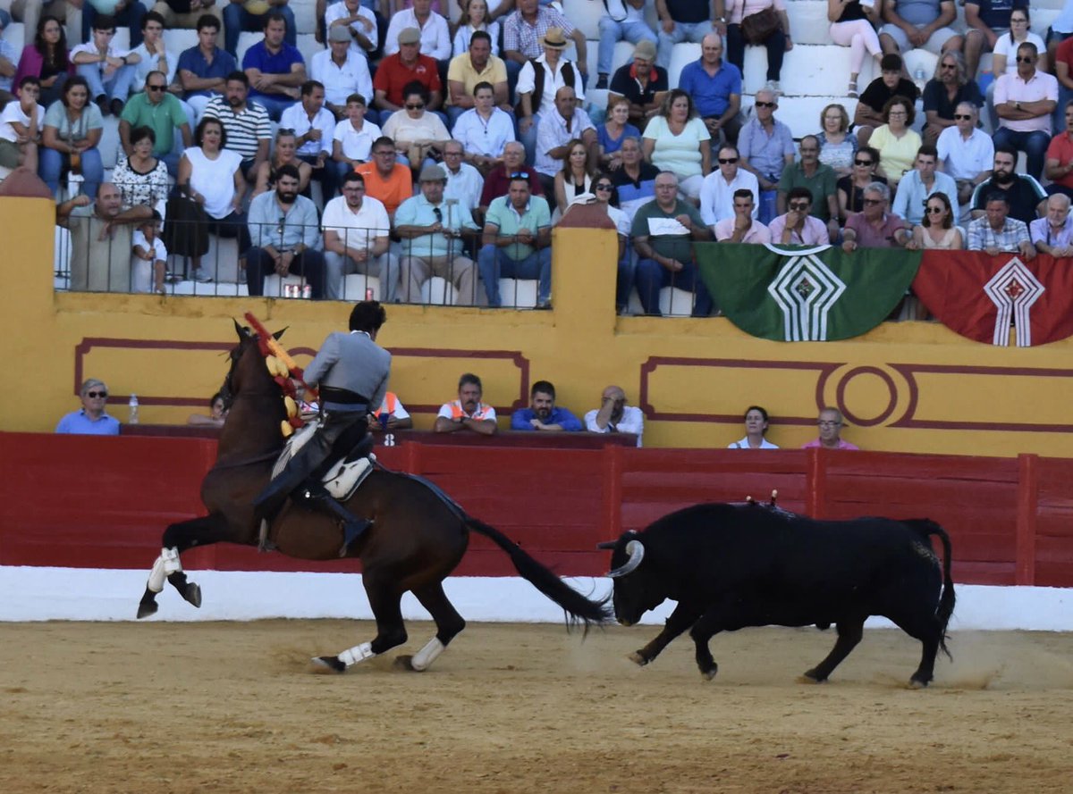 AndresRomeroWeb's tweet photo. 🔴 BARCARROTA || Salió con pies y apretando el toro de @condecorte, al que paró con #Copito. Luego, en banderillas, expuso mucho @Romero1Andres con #Meridio toreando de costado la encendida embestida y clavando después de poder de poder con verdad y emoción
#siempreRomero https://t.co/kLj6ANTanW