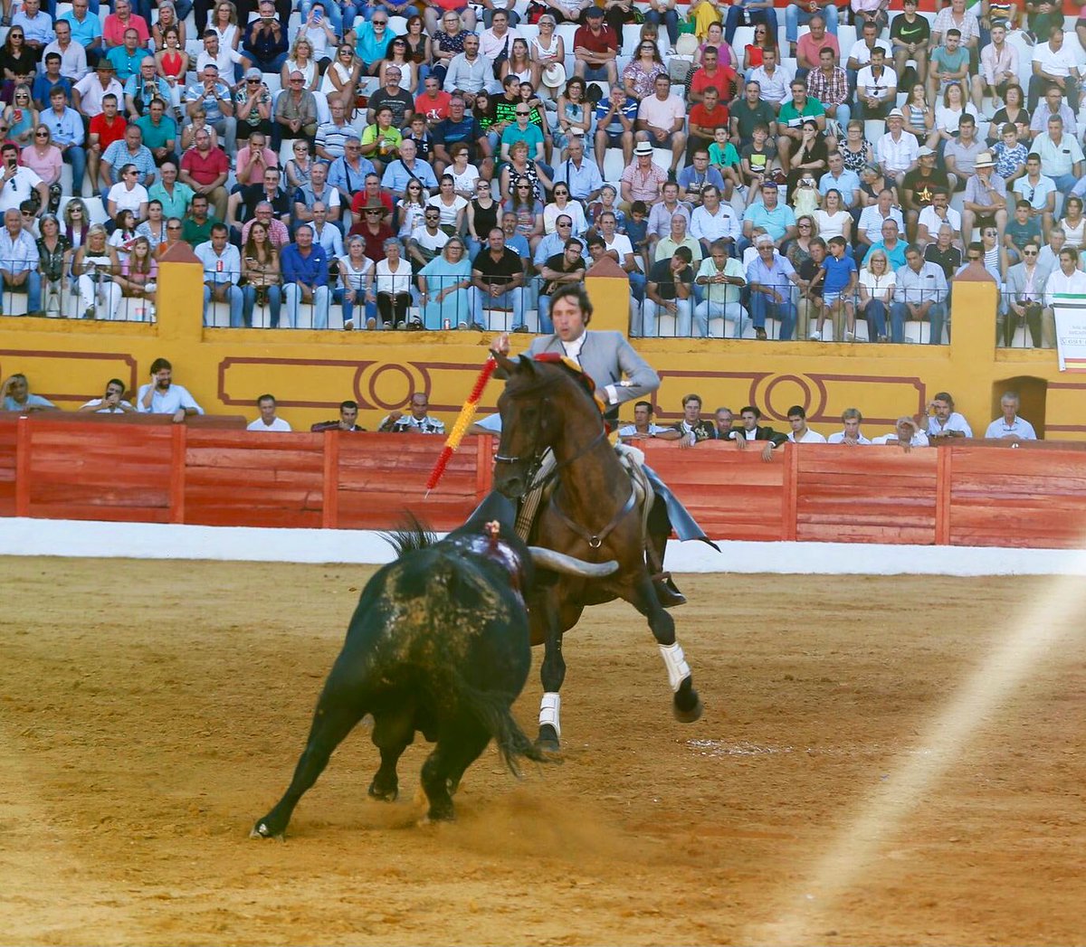 AndresRomeroWeb's tweet photo. 🔴 BARCARROTA || Salió con pies y apretando el toro de @condecorte, al que paró con #Copito. Luego, en banderillas, expuso mucho @Romero1Andres con #Meridio toreando de costado la encendida embestida y clavando después de poder de poder con verdad y emoción
#siempreRomero https://t.co/kLj6ANTanW