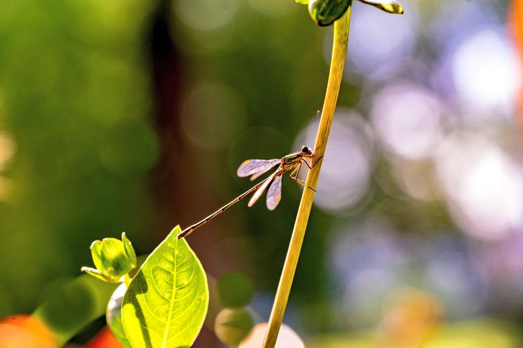 Kommt gut ins #Wochenende 😊🙋‍♀️