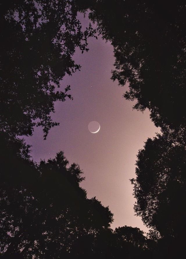 YouNow GP tweet media