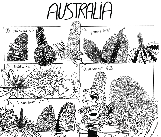 Agricomics tweet media