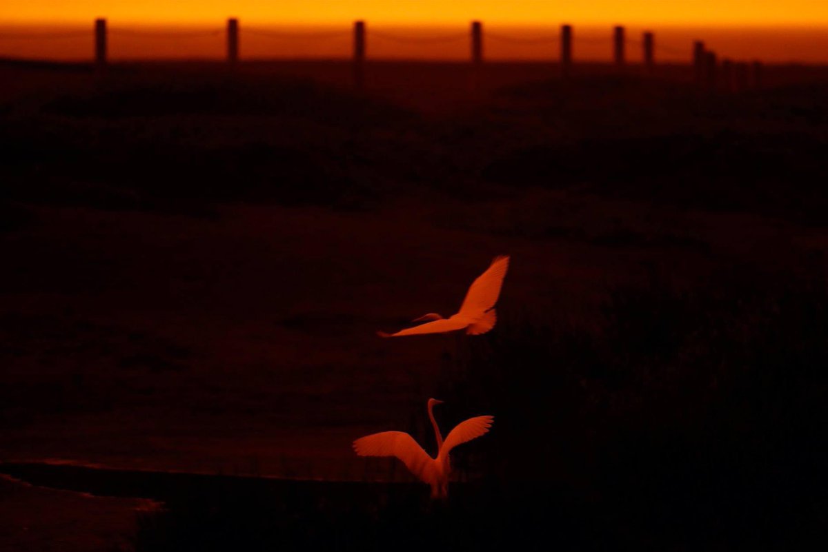 ScottStrazzante's tweet image. 2 years ago…