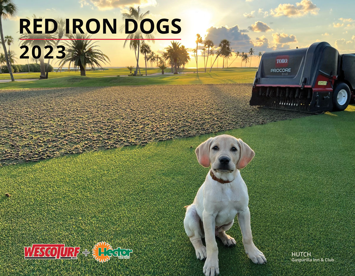 wescoturf's tweet photo. Congratulations to the 2023 #RedIronDogs calendar contest winners! Our cover winner is Hutch; a Yellow Labrador puppy helping to aerate the course at the The Gasparilla Inn & Club. See all the winners plus the honorable mentions here: https://t.co/avETqDQwob https://t.co/yoppgwftyn