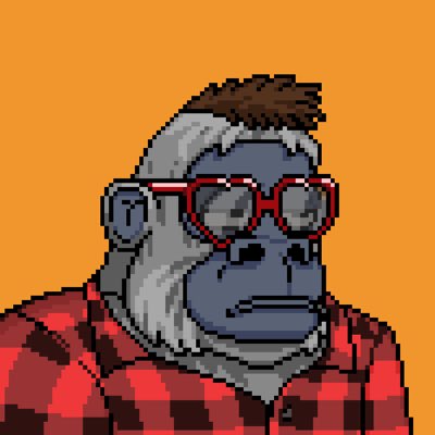 CryptoHippo | 🧨TNT🧨.eth tweet media