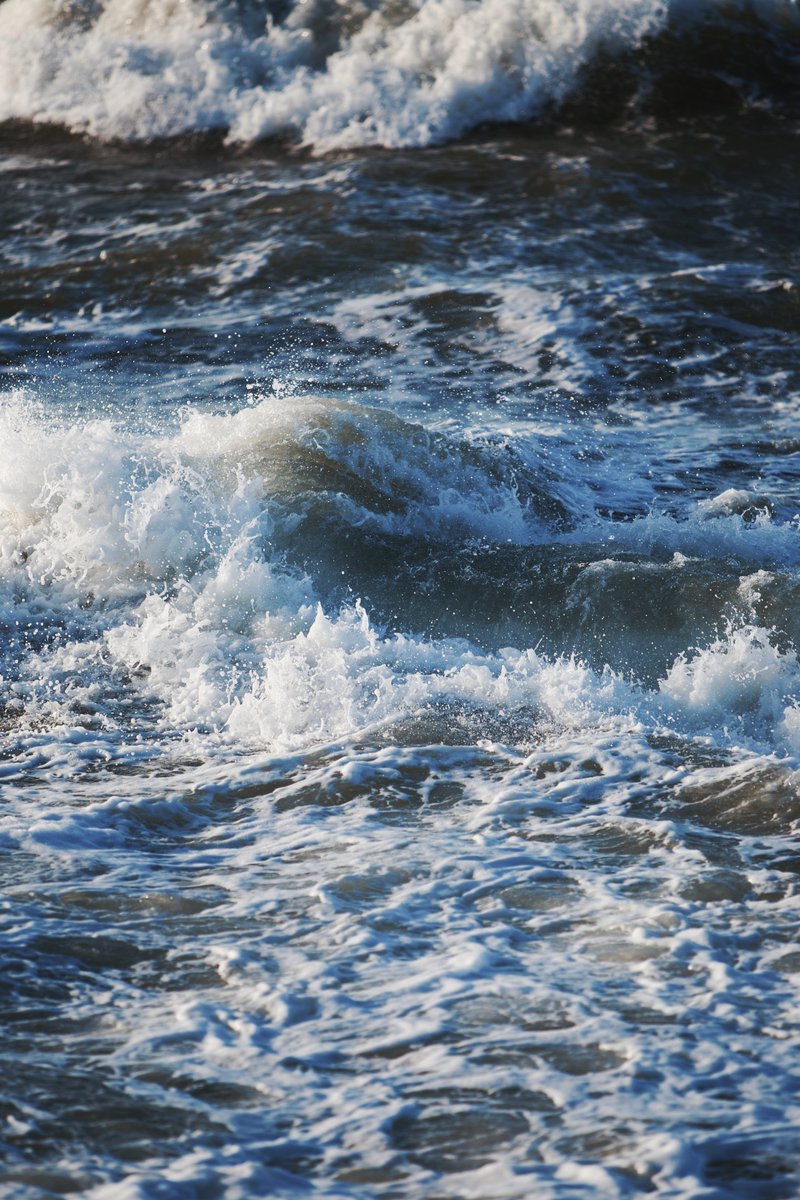 Archillect (@archillect) on Twitter photo 