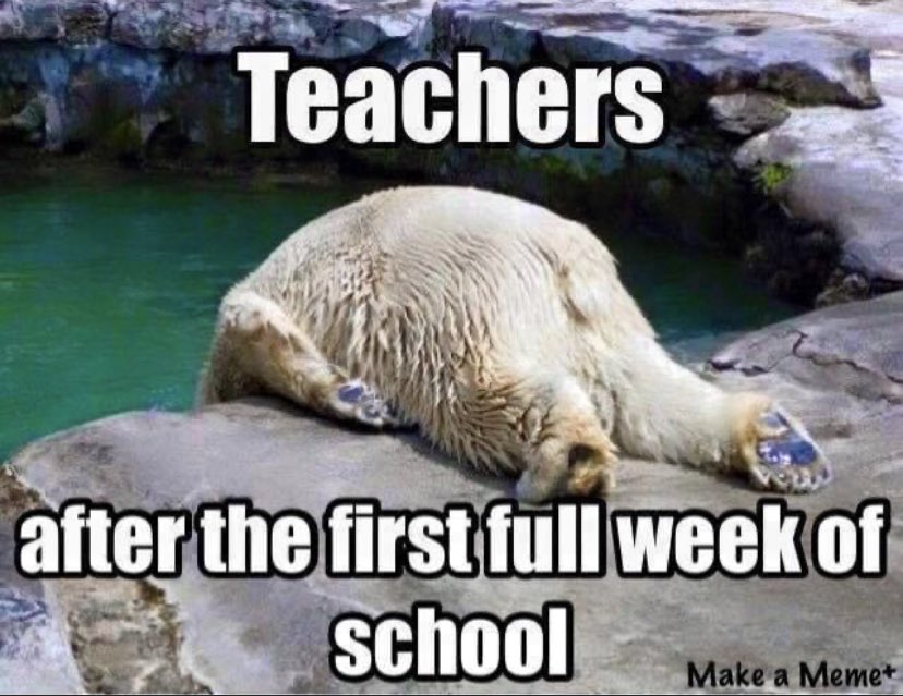 ScottPughsley's tweet photo. Yep… https://t.co/yKOBevfejQ