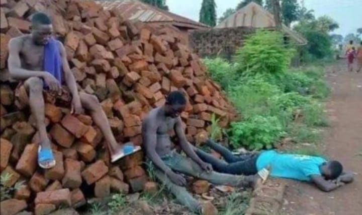 devis_asiimire's tweet photo. If you think you had a bad day think about these ones who offloaded 368000 bricks on a wrong site😹😹😹😹 https://t.co/gC4A7Cn7L9
