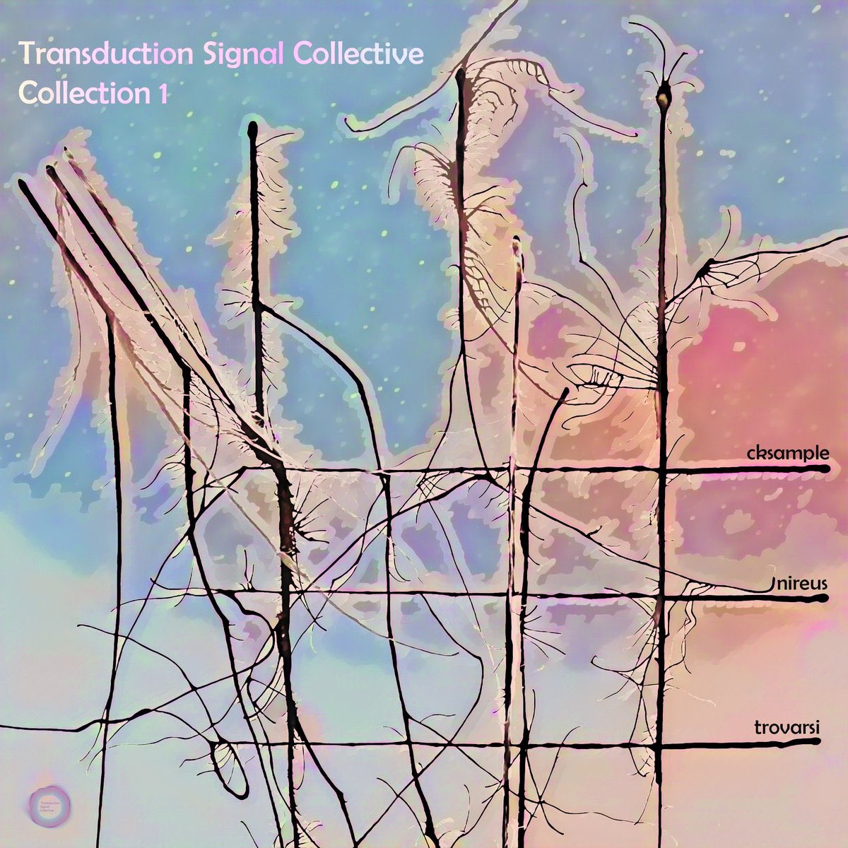 synthswitch's tweet photo. Congrats to Transduction Signal on their release! 

https://t.co/0x6uM8RDzW

Transduction Signal Collective is Trovarsi - Modular Synth, C.K. Sample III - Modular Synth, T. Clara Takarabe - Viola, H. Anton Riehl - Modular Synth

#techno #modular #transductionsignal @cksample https://t.co/peARxLTUui