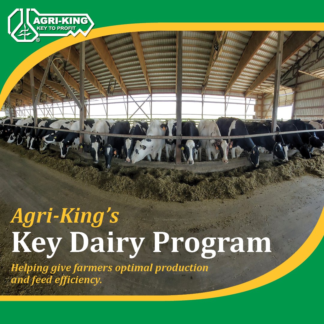 AgriKingInc's tweet image. (1/2) Agri-King’s Key Dairy Program provides producers personalized rations with flexible solutions to improve herd production and profitability. These highly-fortified products perform in precisely balanced rations for optimal herd health and performance to meet...