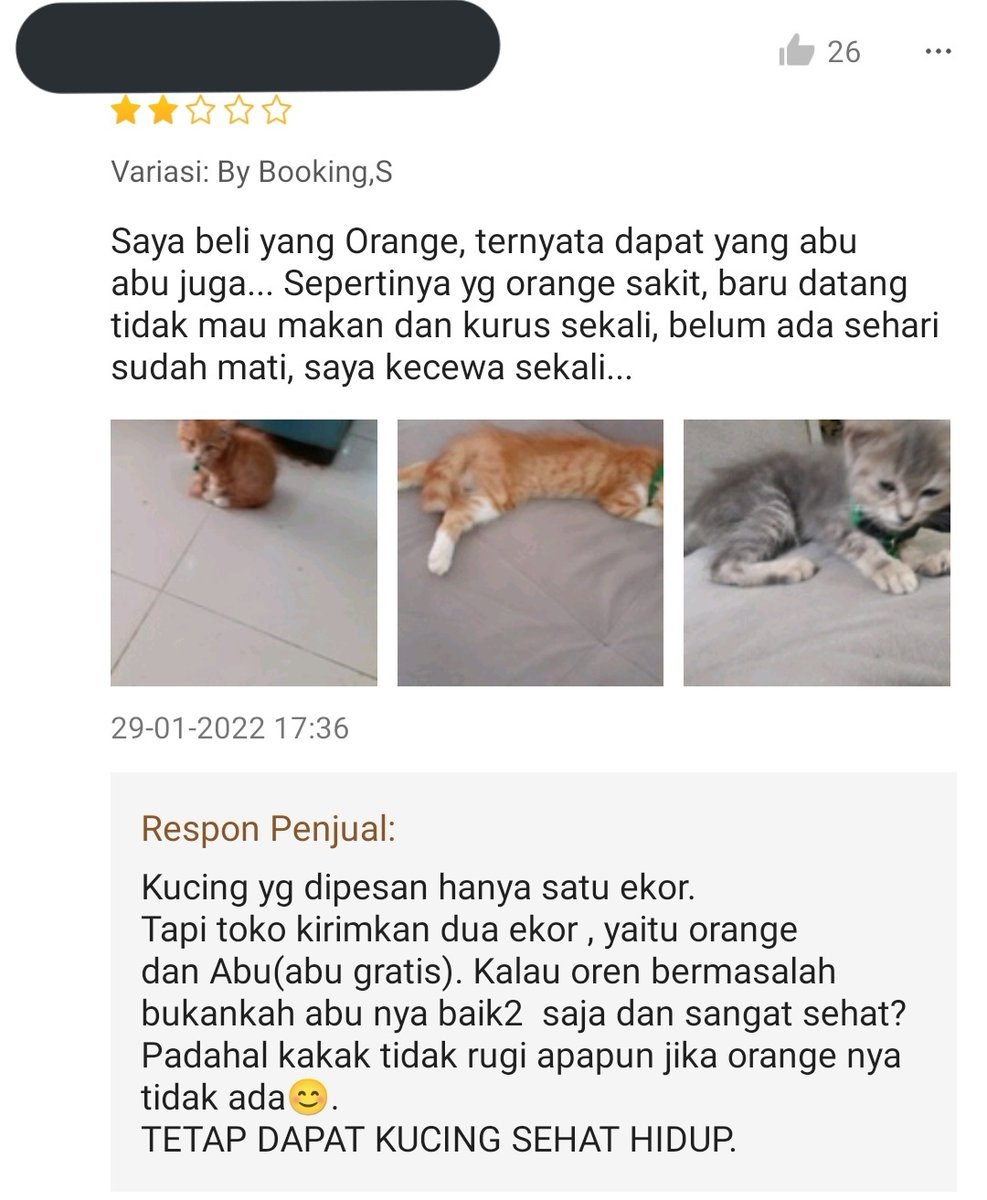 🐈 speechless banget kok ada ya breeder se-ignorant ini... kalo emang mau beli kucing pastiin di tempat yg bertanggungjawab ya guys, lebih baik lagi kalo adopt 👍