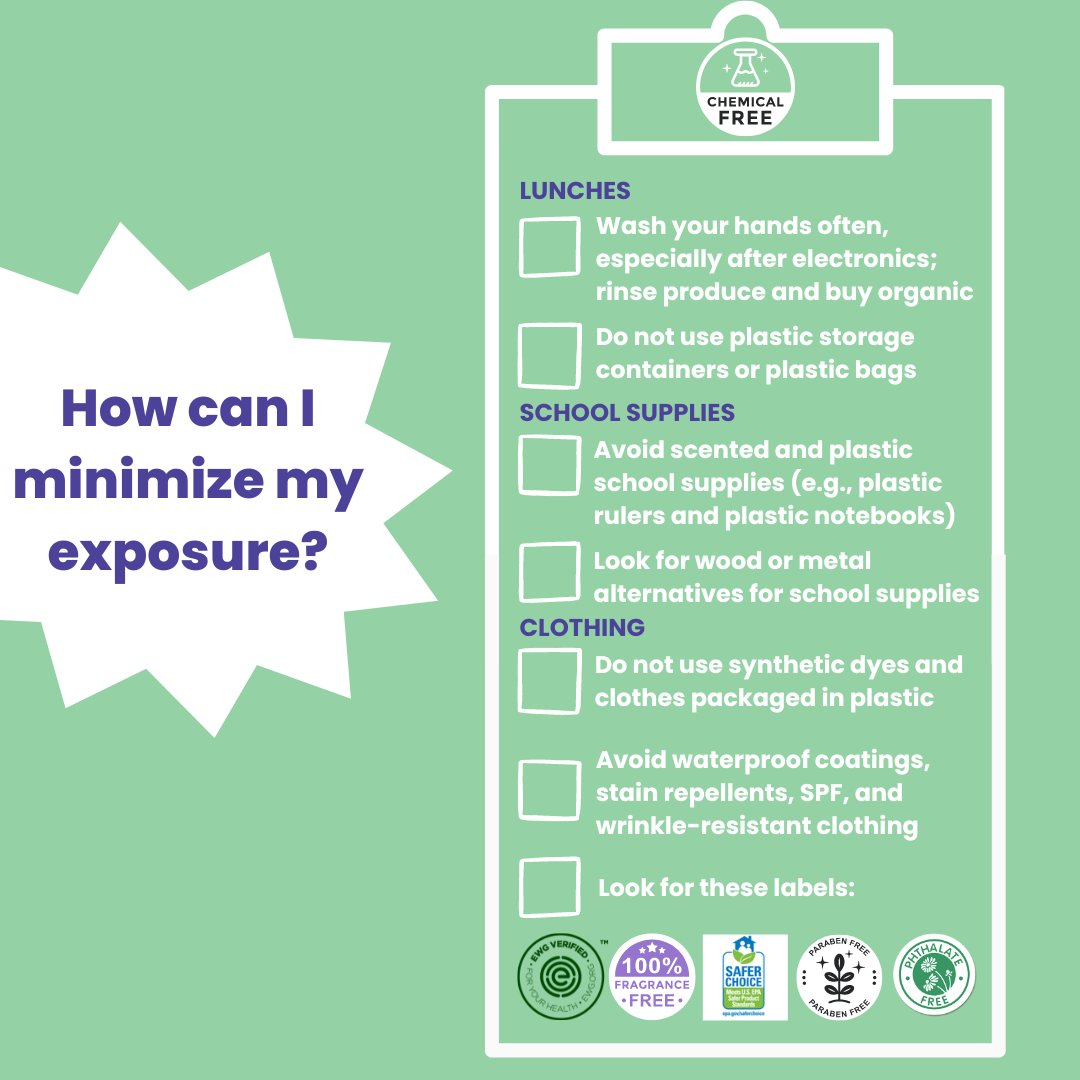 SEED Program tweet media