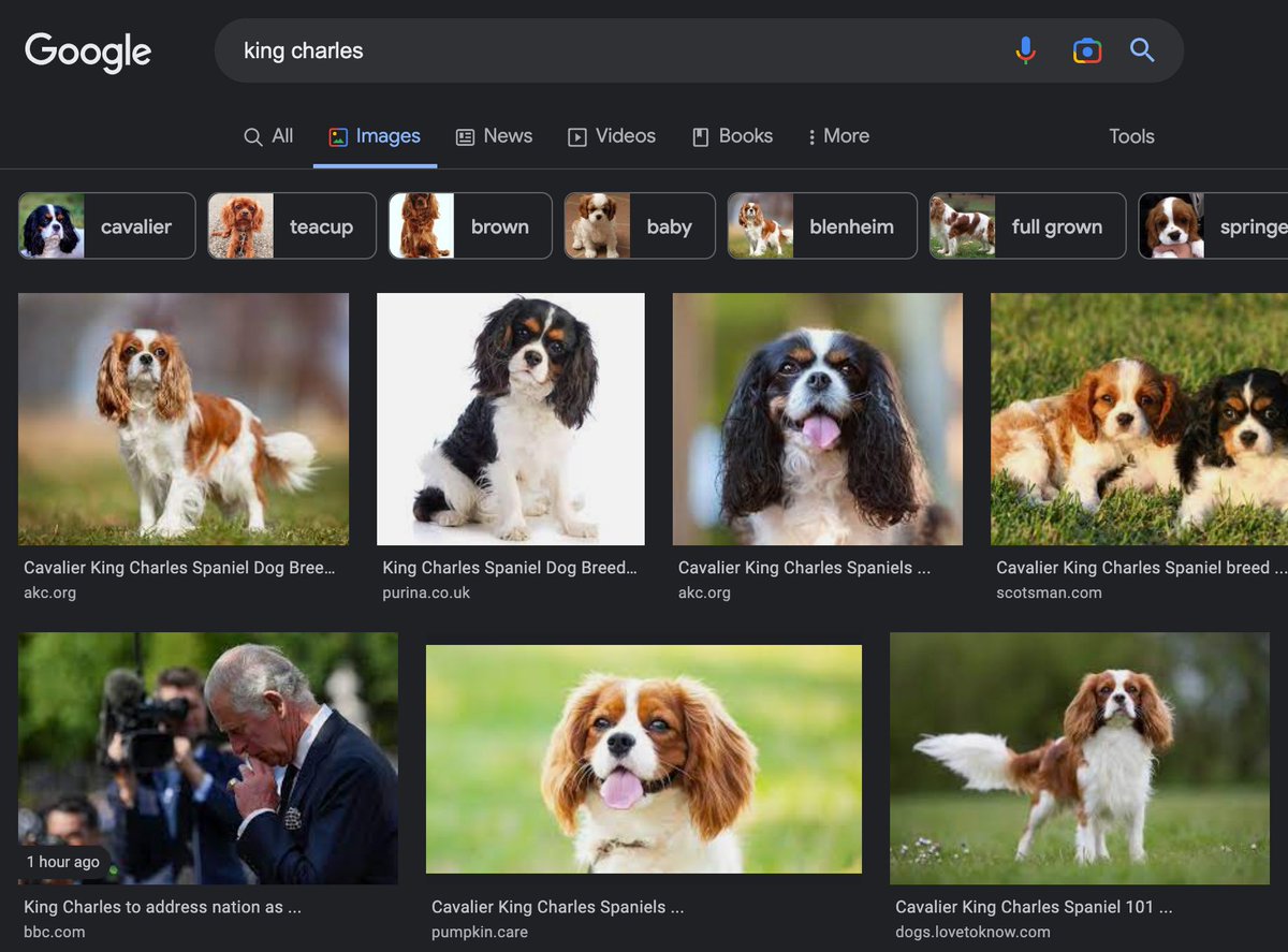 claretoenis's tweet photo. king charles needs to work on his SEO https://t.co/Fh1cAEbmAX