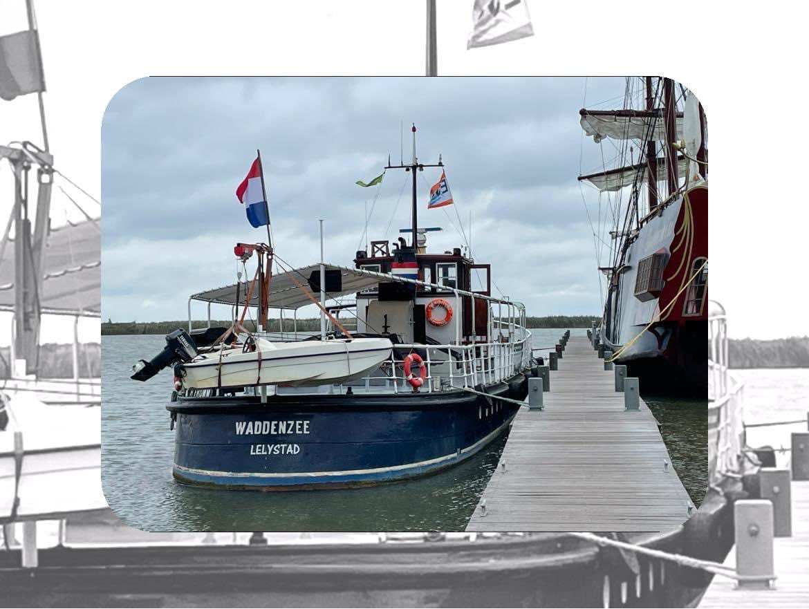 ms Waddenzee tweet media