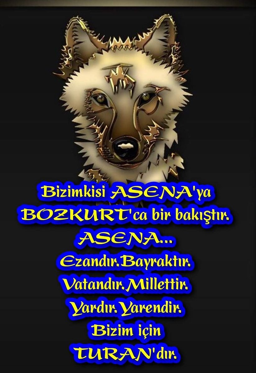 turan deyirmenci (@deyirmencituran) on Twitter photo 
