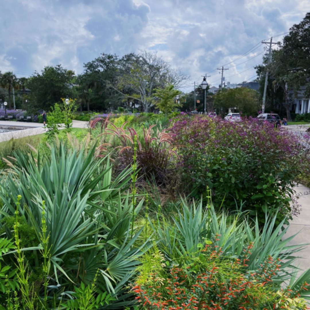 ChasParksConservancy tweet media