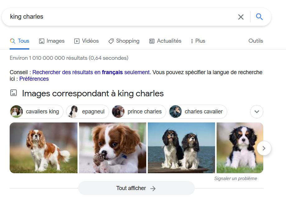 LOL même l'algorithme de Google Images ne s'est pas encore habitué.