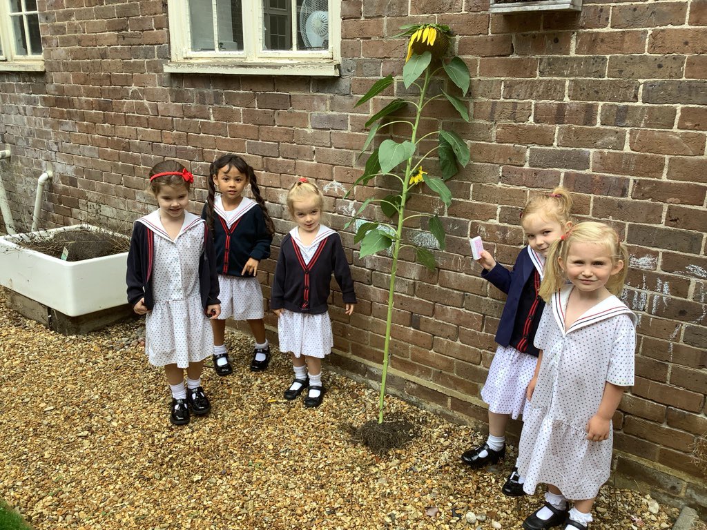 TH Pre-Prep tweet media