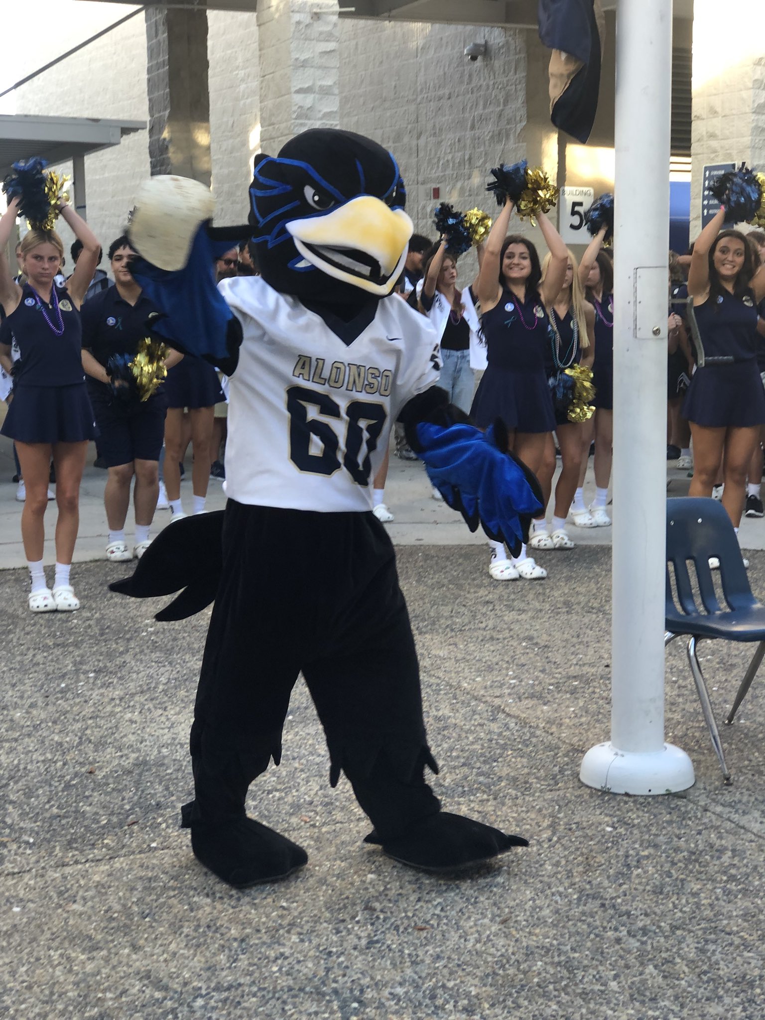 Alonso Volleyball 🏐 (alonsoravensvb) / Twitter