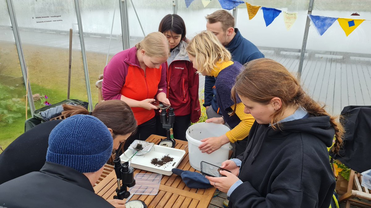 Skiptinemar við #HáskólaÍslands í námskeiðinu Icelandic Nature and Cultural Heritage fræðast um votlendi í Vatnsmýrinni. #Norrænahúsið lánaði okkur garðhúsið í mýrinni sem nýttist svona líka stórvel við könnun á annars duldu lífríki tjarnanna í Vatnsmýrinni @Haskoli_Islands