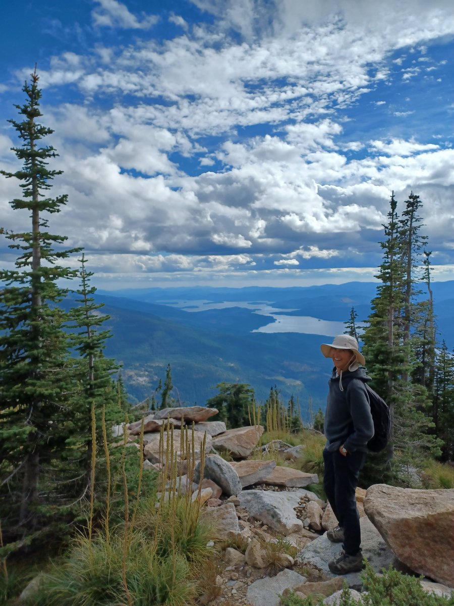 Henry Legett tweet media