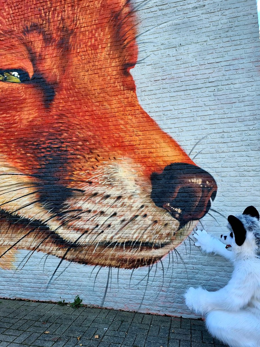 Fezzlington's tweet photo. A European roadtrip is never complete without a detour past this masterpiece!
Had suit packed and ready this time around π
Happy #FursuitFriday from #Belgium, everybody!
#Testelt #roadtrip #fursuit #furry #motorfurs https://t.co/GWyzJo5RVC