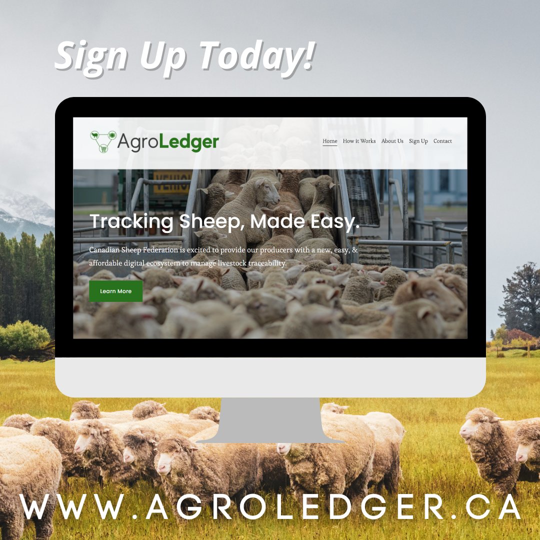 AgroLedger's tweet photo. Do you want to be one of the first producers to know when the #AgroLedger #technology is available! 🐑

Sign up TODAY! 👉 https://t.co/2ZlDubWNDb
#sheep #sheepfarm #canadiansheep #canadianfarm #canadianranch #sheepranch #ag https://t.co/WnXaVQspns