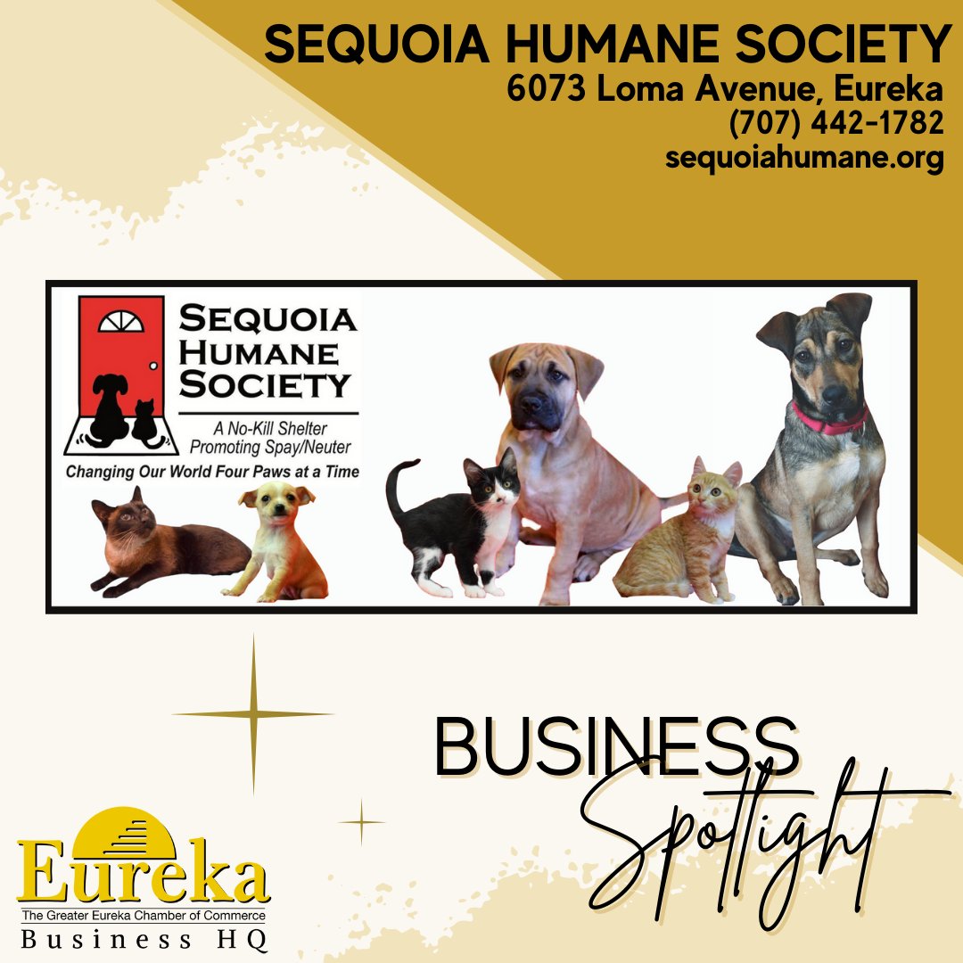 #sequoiahumanesociety #animalshelter
#eurekachamberofcommerce #eurekacalifornia
#EurekaCA #yourchamberworkingforyou
#humboldtcounty #ilikeeureka #nokillshelter
#animaladoption #adoptadog #adoptacat #fosteranimals #fosteradog #fosteracat #helpinganimals #fundraising #tailwaggers