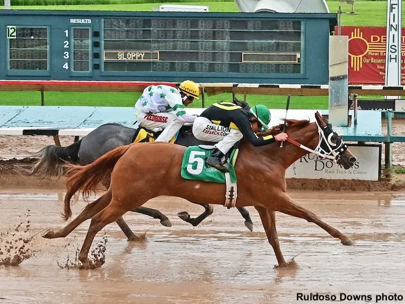 Paulick Report on Twitter "All American Futurity Favorite Was