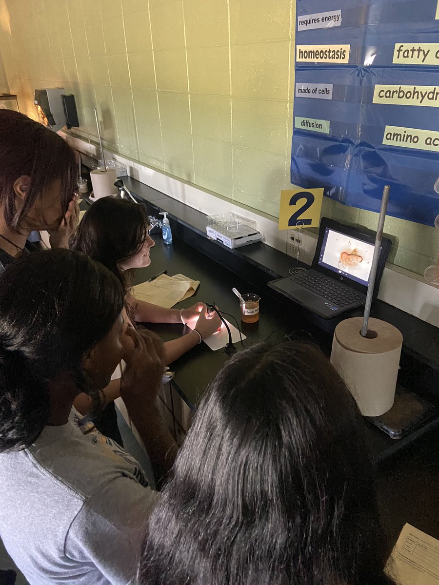 MsSvetich's tweet photo. Students are testing the affects of caffeine on daphnia! These digital microscopes are AWESOME! All students are able to participate using their chromebooks! https://t.co/QYo55De0UO
