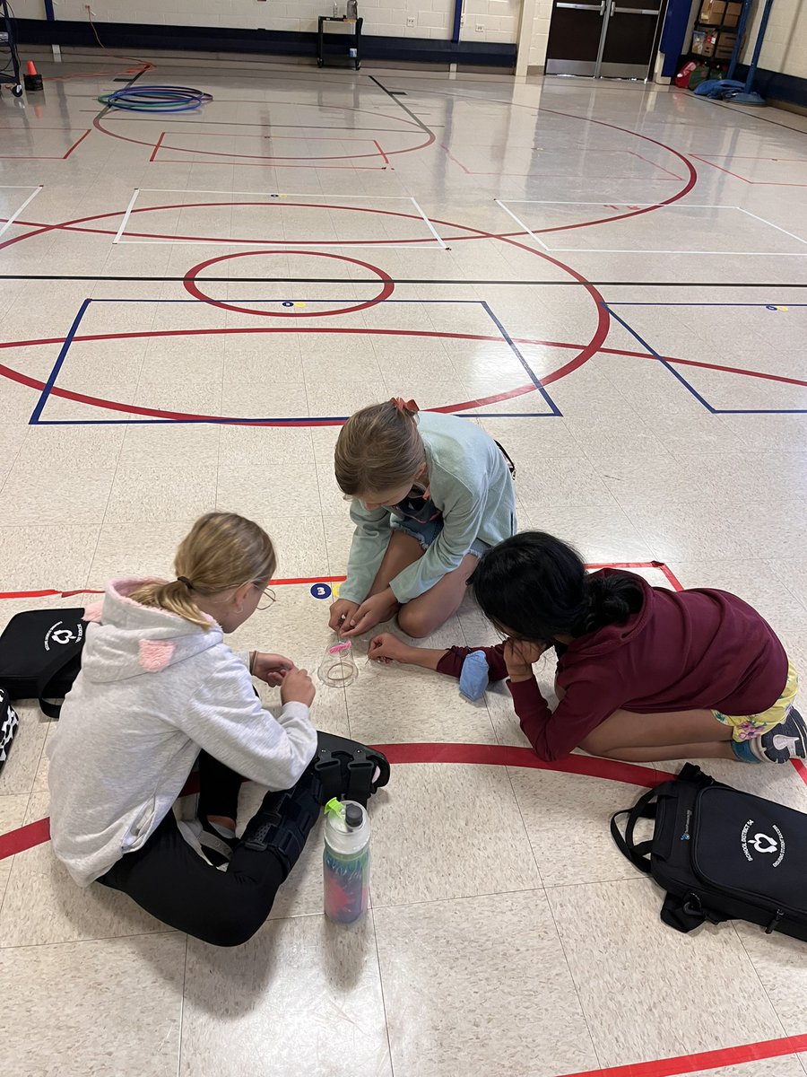 MissDucey's tweet photo. Our first Student Ambassador meeting at Fairview was a success! After talking about what it means to be a leader, the students participated in a team building activity. They had so much fun planning, problem solving and succeeding!@MsSpiwak #weare54 #wearefv54 #studentambassadors https://t.co/ChvAs2bBlM