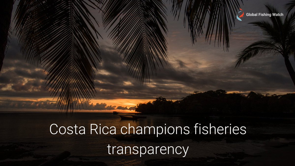 GlobalFishWatch's tweet photo. This year, Costa Rica publicly shared its VMS data with the @GlobalFishWatch map. This data transparency combats #IUUfishing by monitoring:

⚓️ 95 vessels

#COFI35 @Incopesca_CR https://t.co/czdLuzDQqN