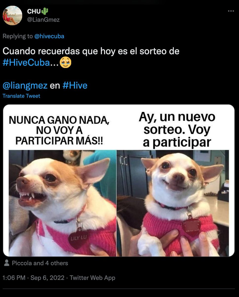 El comentario con mas likes hoy a las 10am es de <a href="/LianGmez/">Lianchu</a> gracias a su meme-marketing 😂

Felicidades!!! 

Llégate al DM para hacerte llegar el pullover de alguna forma.