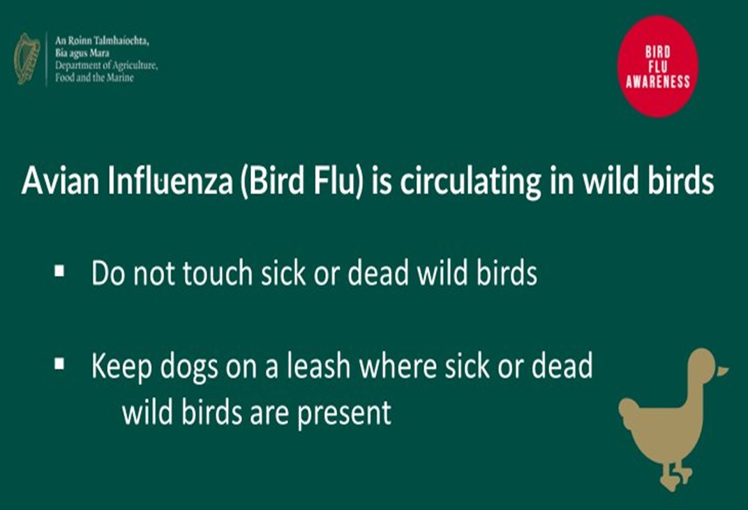 WCC wishes to alert the public that  Bird Flu is currently circulating in wild birds.  
Notify DAFM of any suspected cases via the Avian Check App ow.ly/r9mn50KFs0R  or  Hotline 01 607 2512 (or 01 492 8026 outside of normal office hours).