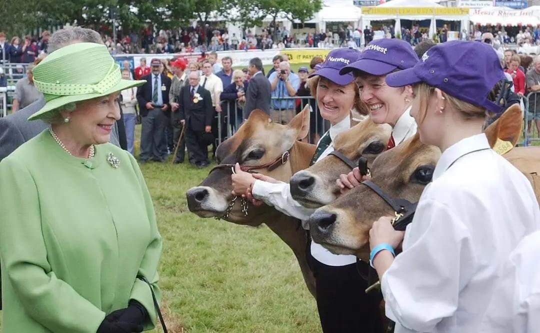 As world mourns Queen Elizabeth, recall Calvin Covington years after seeing her Jerseys said “She knows as much or more about cows/Ag as about anyone I've met. Those cows produce more than 6% fat &amp; that’s what she drinks.” Me? I’ll miss her grace grit presence in world
📷Alamy