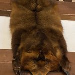 ツイートに含まれる画像