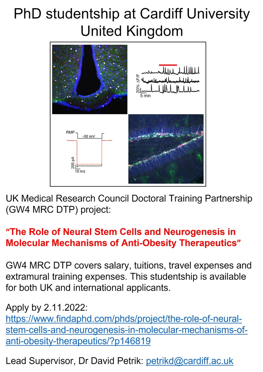 A PhD studentship on neural stem cells with the UK Medical Research Council.