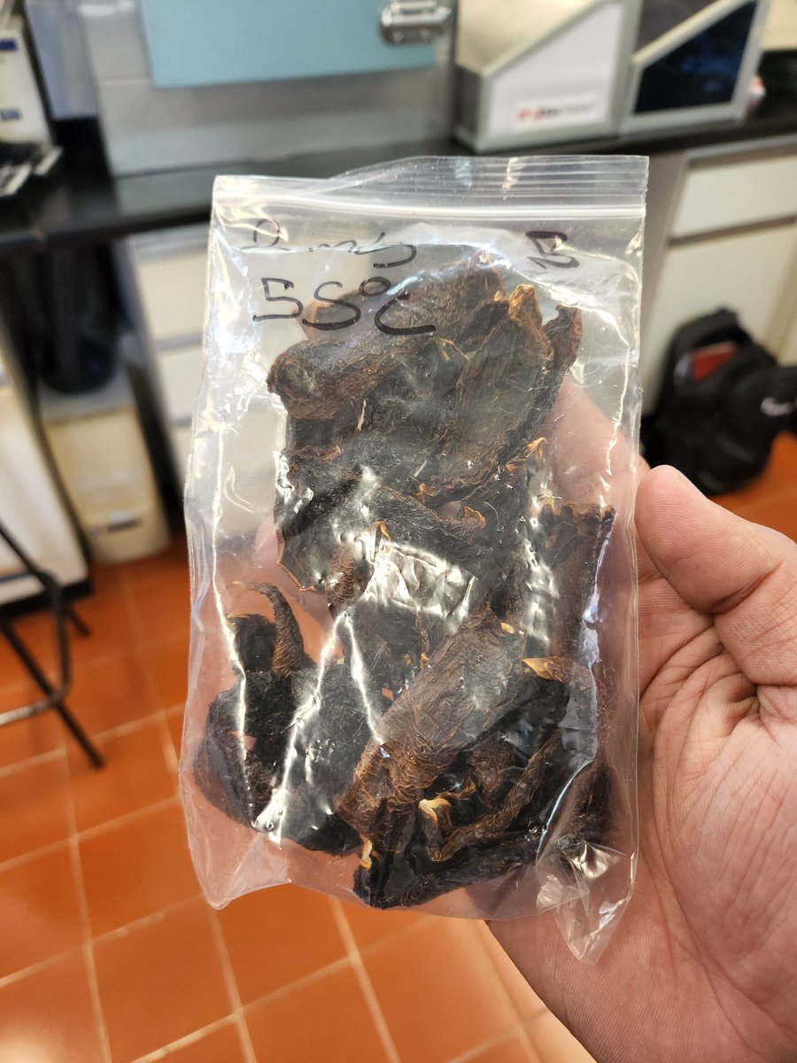 jesusglzmar's tweet photo. El día de ayer tuve la oportunidad de visitar la planta de secado solar de la empresa @Modulo_Solar donde pude observar los múltiples beneficios de secar y deshidratar los productos con el Sol. Comida sin emisiones #solarizate @HeatChangers https://t.co/EvJ9dDU5cr