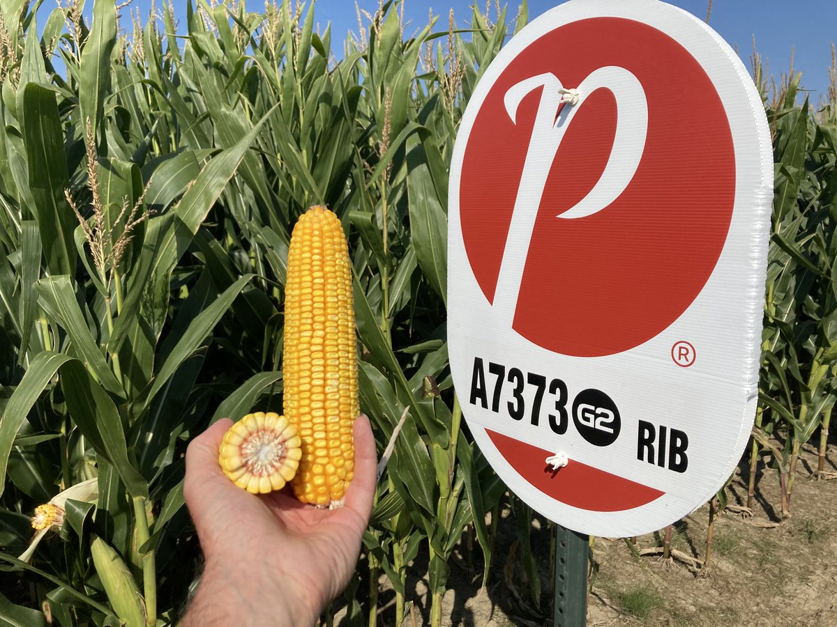 Great week meeting with SEMENCES PRIDE Team and looking at products early to late in Quebec