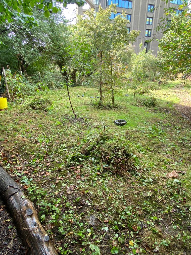 BarbicanWildlifeGroup@barbicanwildlife.bsky.social tweet media