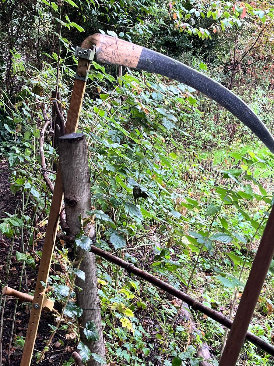 BarbicanWildlifeGroup@barbicanwildlife.bsky.social tweet media