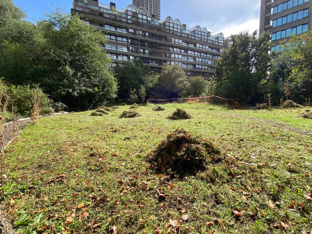 BarbicanWildlifeGroup@barbicanwildlife.bsky.social tweet media