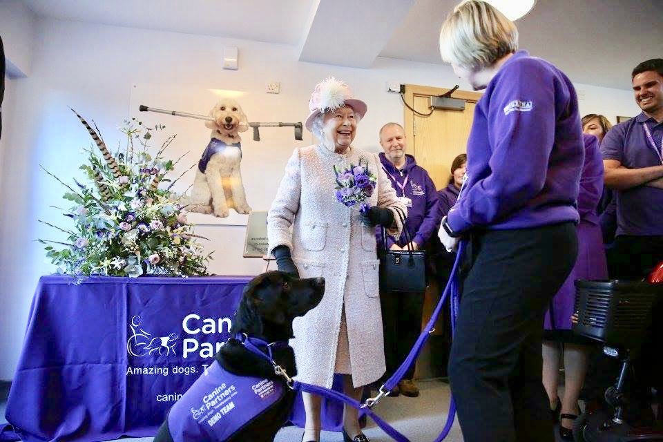 fourpurplepaws's tweet photo. Remembering that smile, the lovely words and one of the biggest honours of my life❤️ https://t.co/p2J8Knai0Z