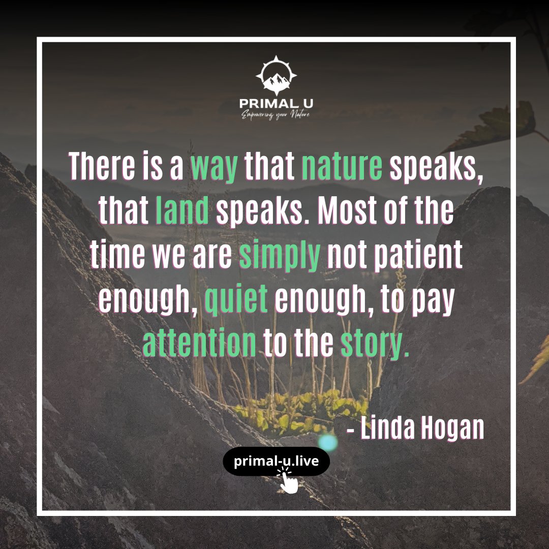 We often miss out on seeing the best in our surroundings because we are too preoccupied to see and appreciate them.

Take a deep breath, relax, and spend some time outside.

primal-u.live

#unwind #nature #primalu #survival #bushcraft #adventure #outdoors #camping